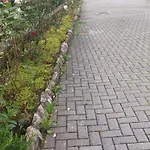 Casa Di Sofia E Oscar Di * Canzo