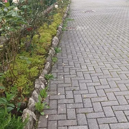 Casa Di Sofia E Oscar Di * Canzo